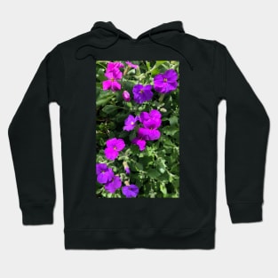 Joy of the Violet Hoodie